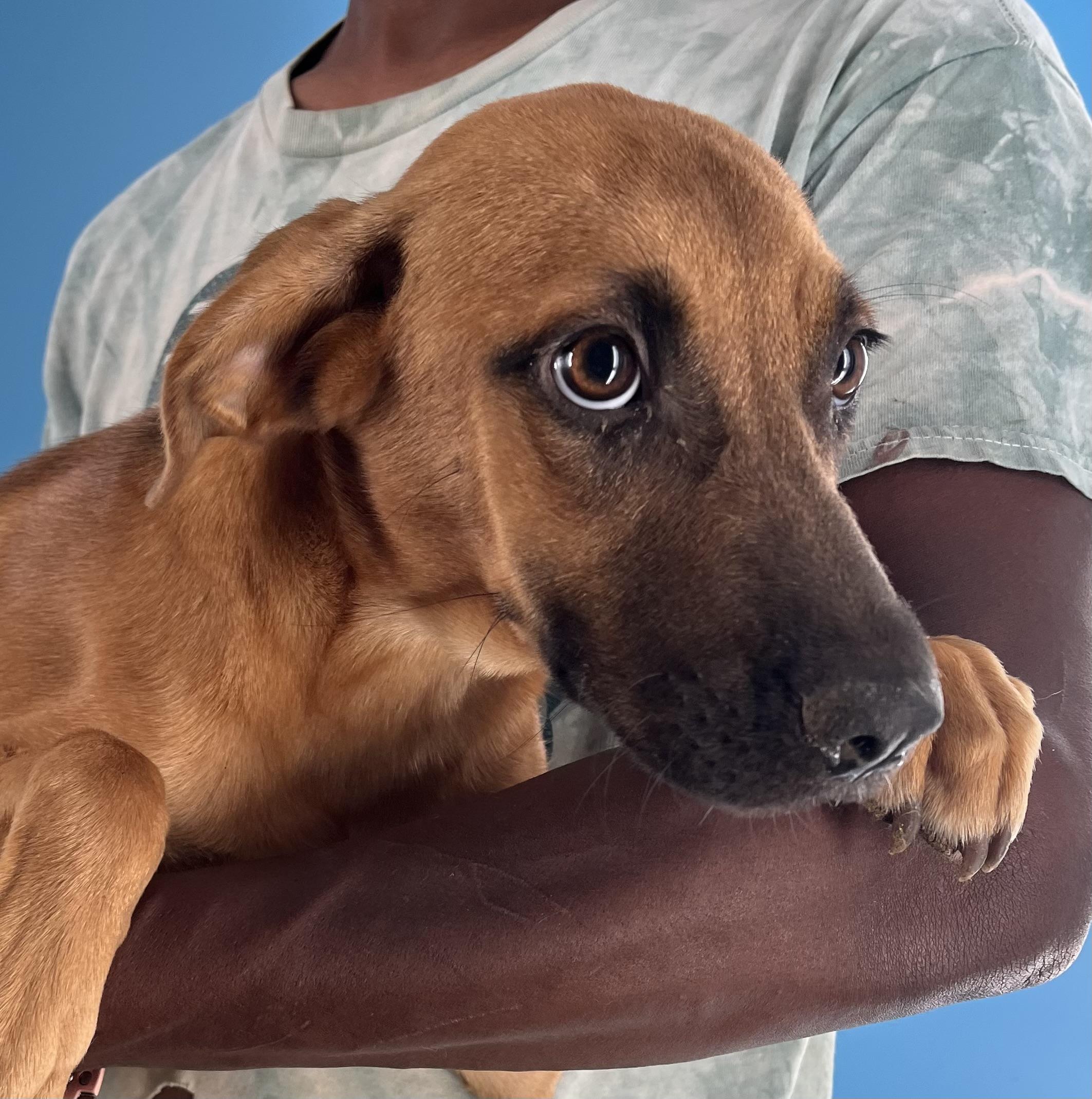 Carol  Local Nov thumbnail 5