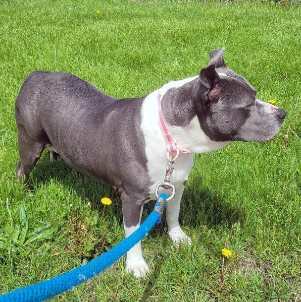 Maisy photo 2