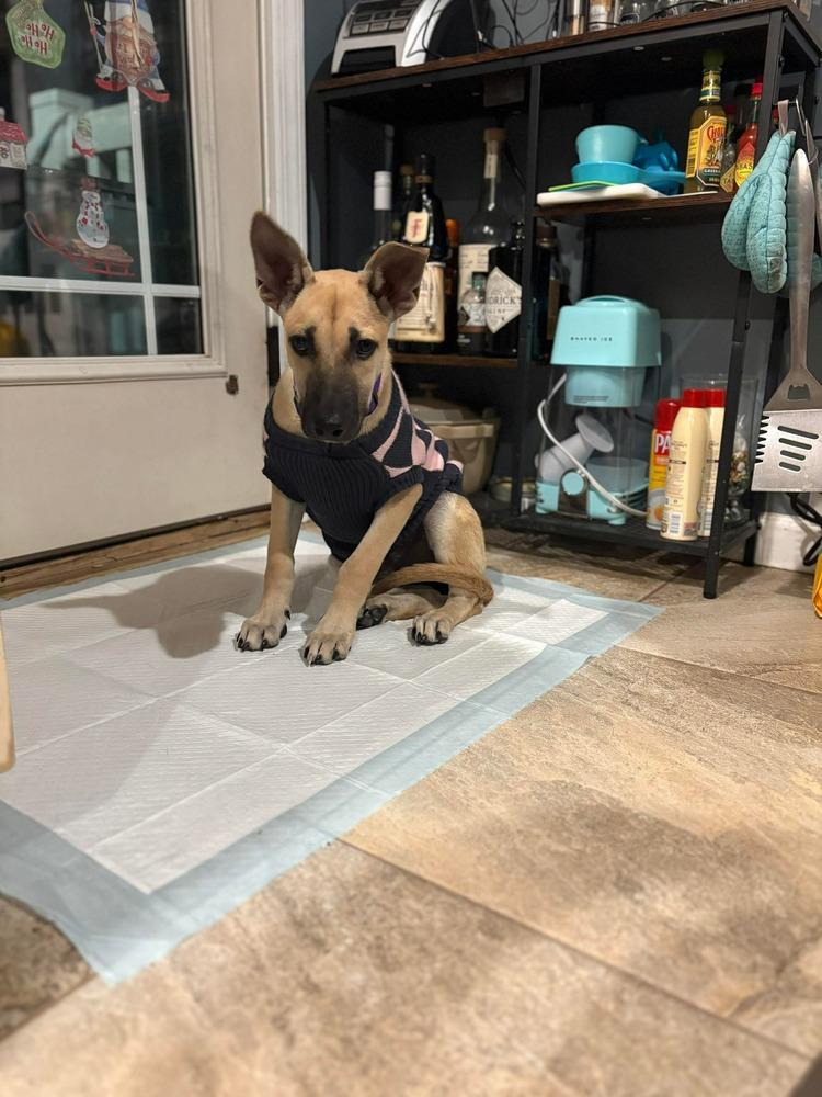 Victoria thumbnail 2