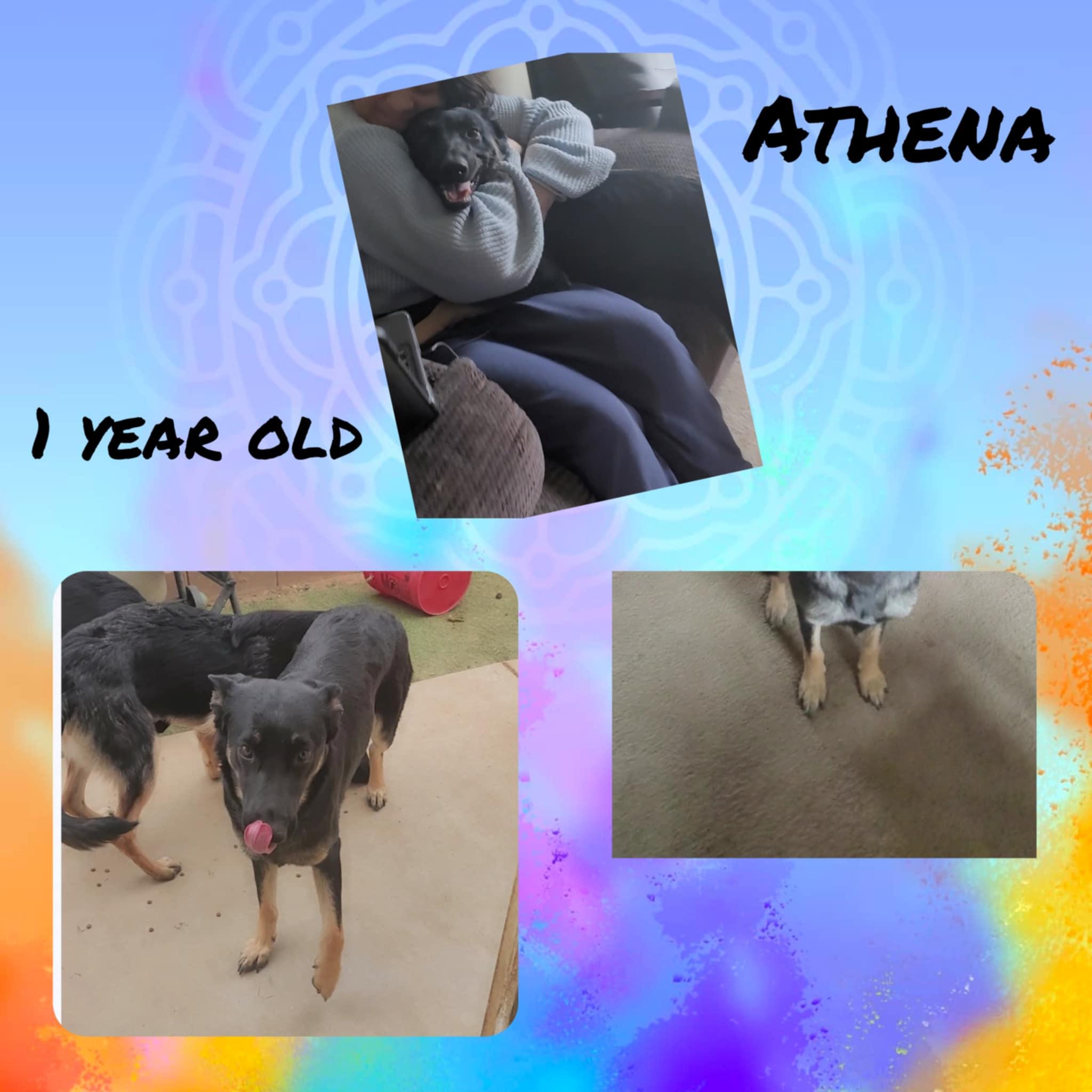 Athena