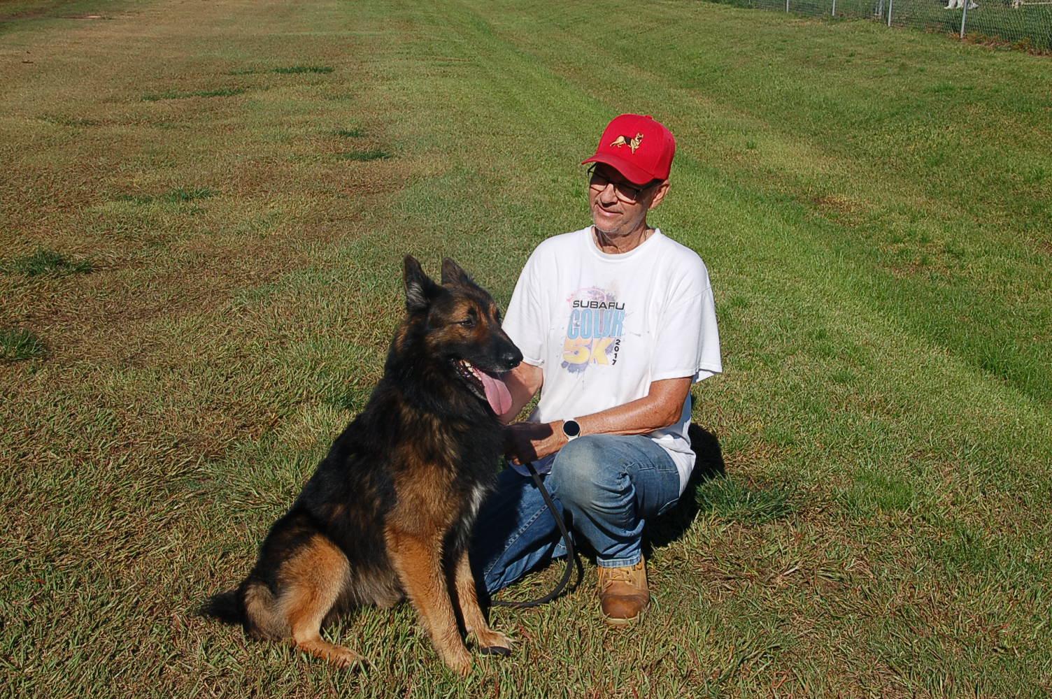 MILLO, a Adoptable German Shepherd Dog in Preston, CT image 4/6