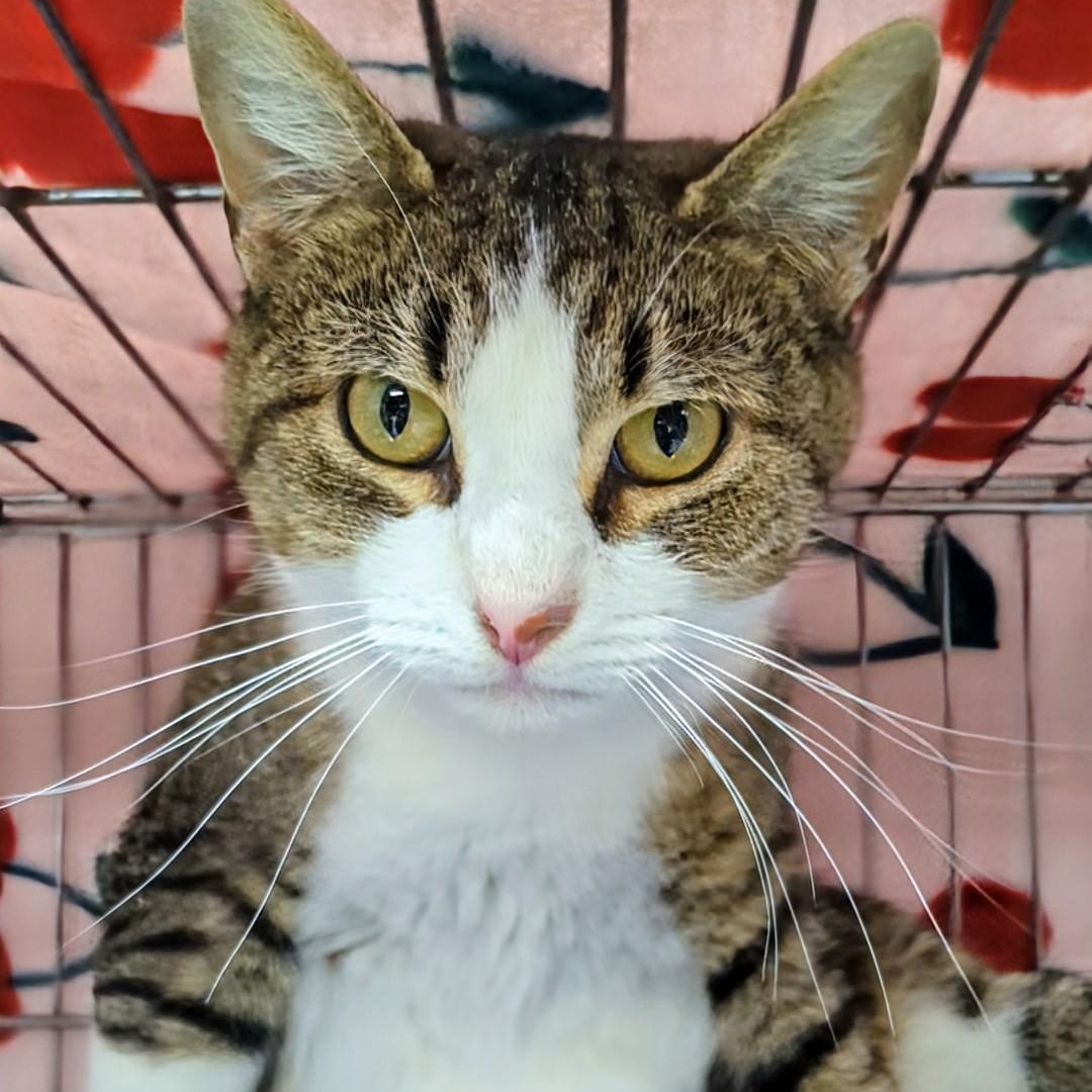 Skittles thumbnail 2