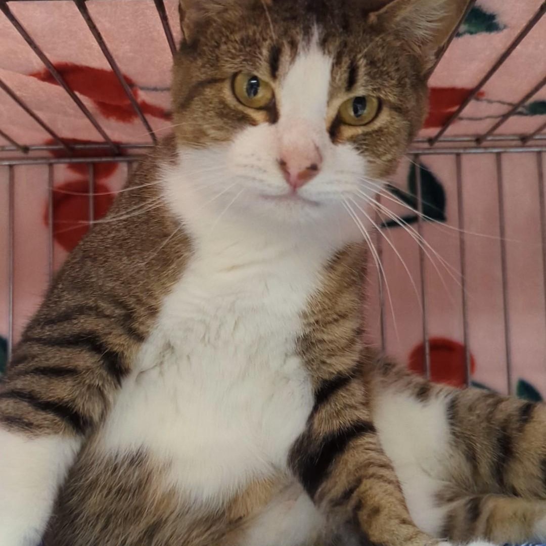 Skittles thumbnail 6