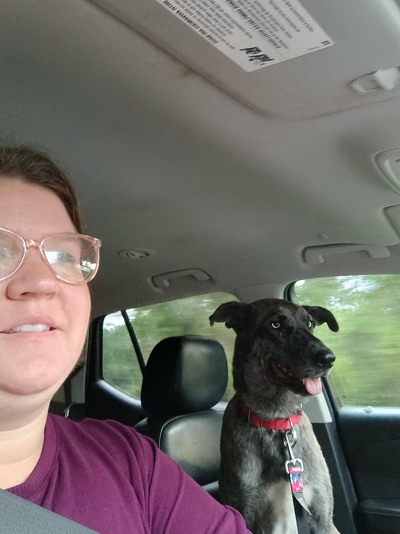 Jessie, a Adoptable Catahoula Leopard Dog in The Woodlands, TX image 3/3