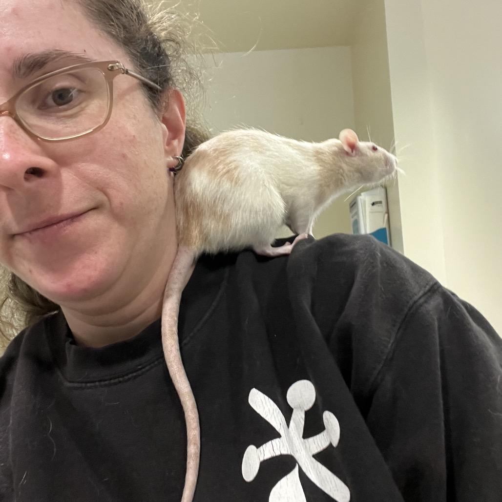 Enlarge Marigold, a Adoptable Rat in Novelty, OH image 2/4