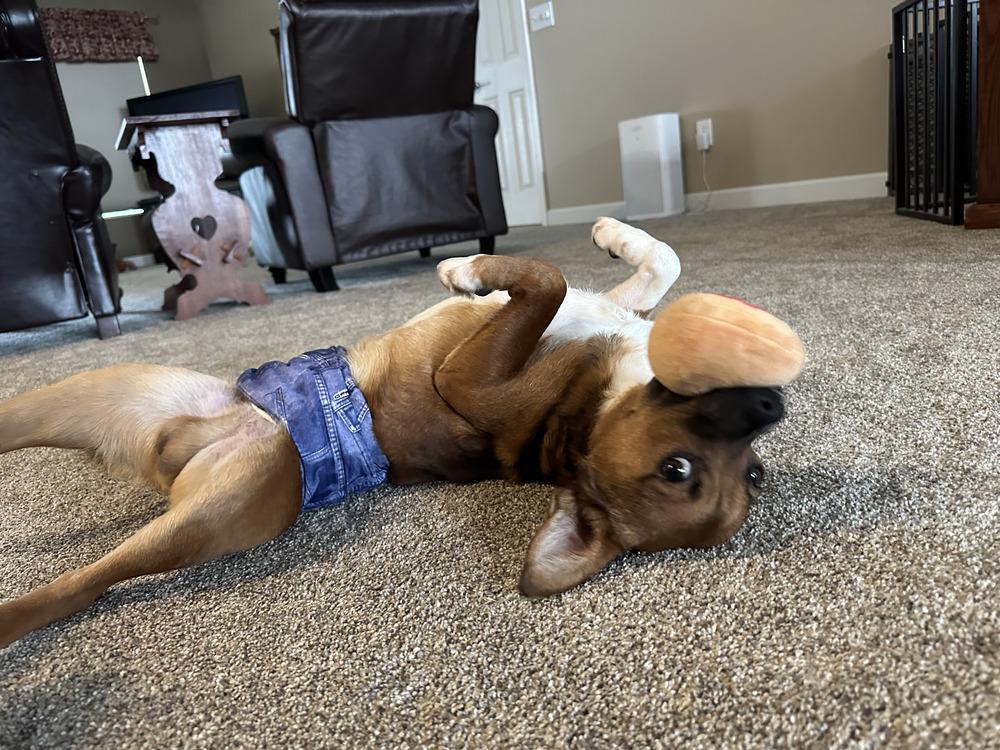 Nicholas thumbnail 3