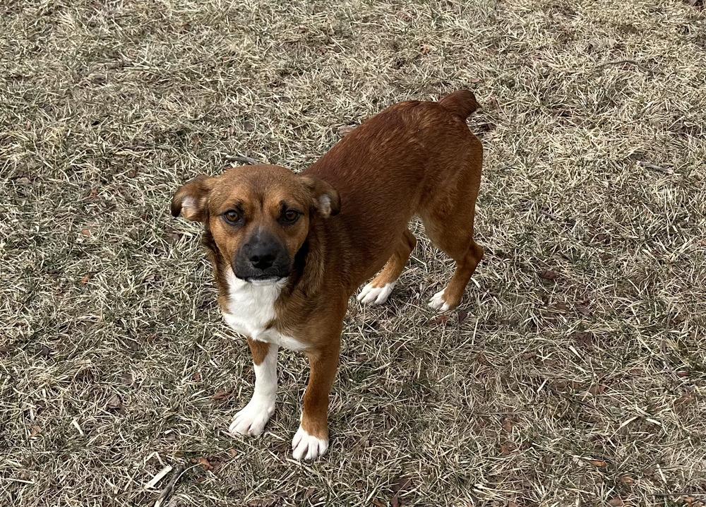 Nicholas thumbnail 4