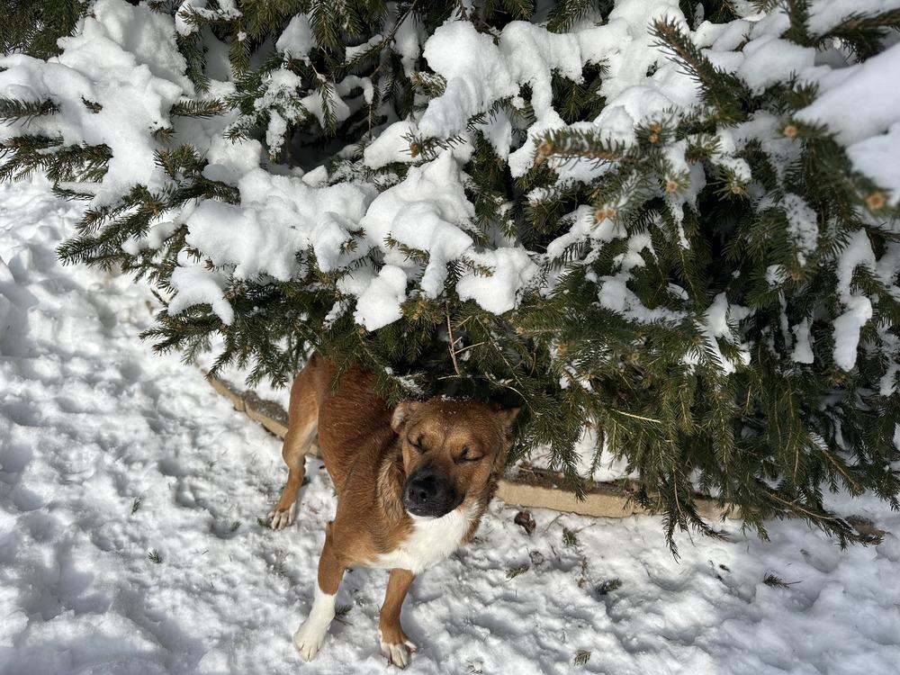 Nicholas thumbnail 5