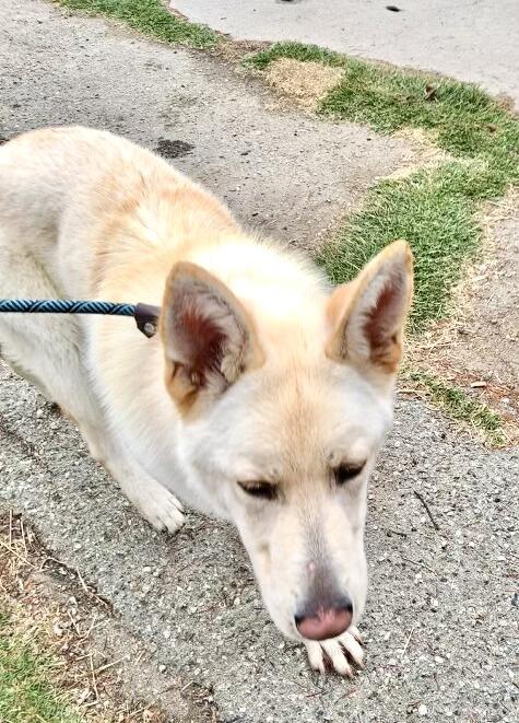 LUNA