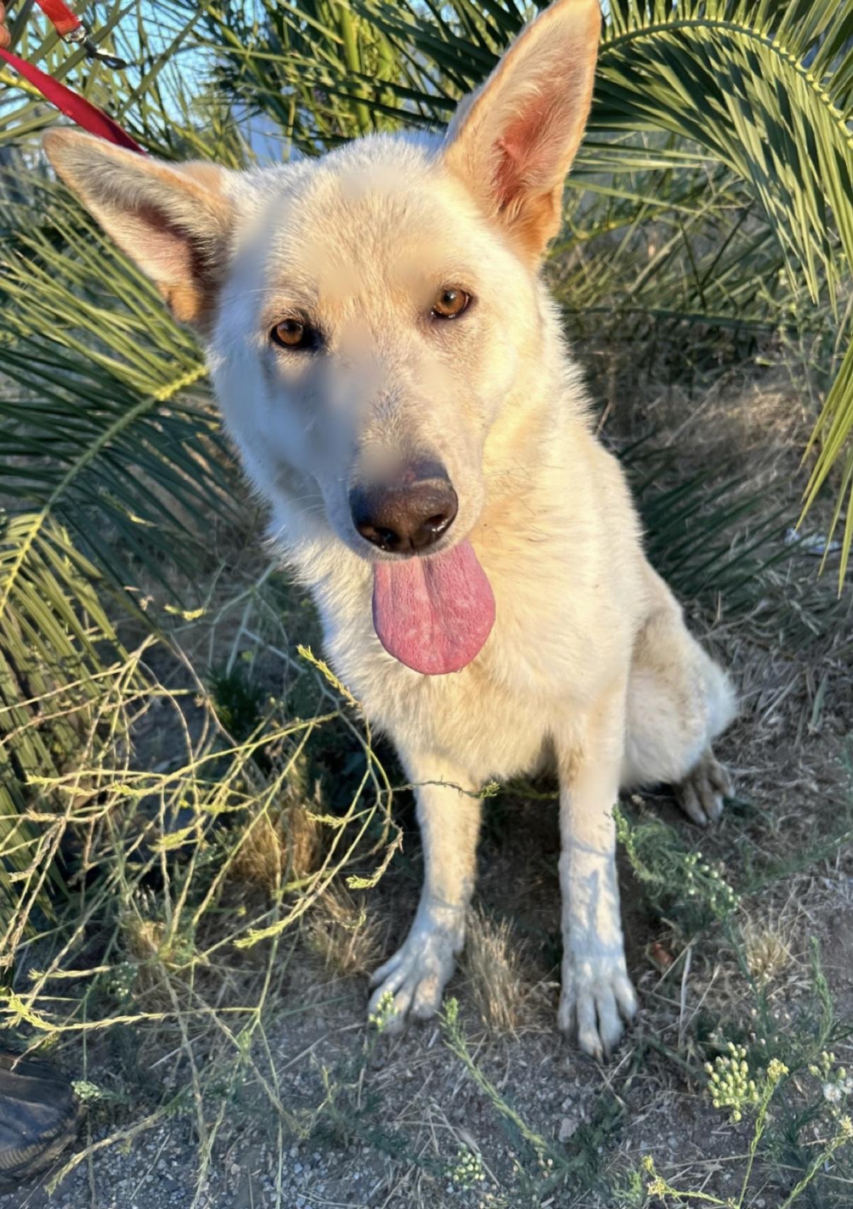 LUNA