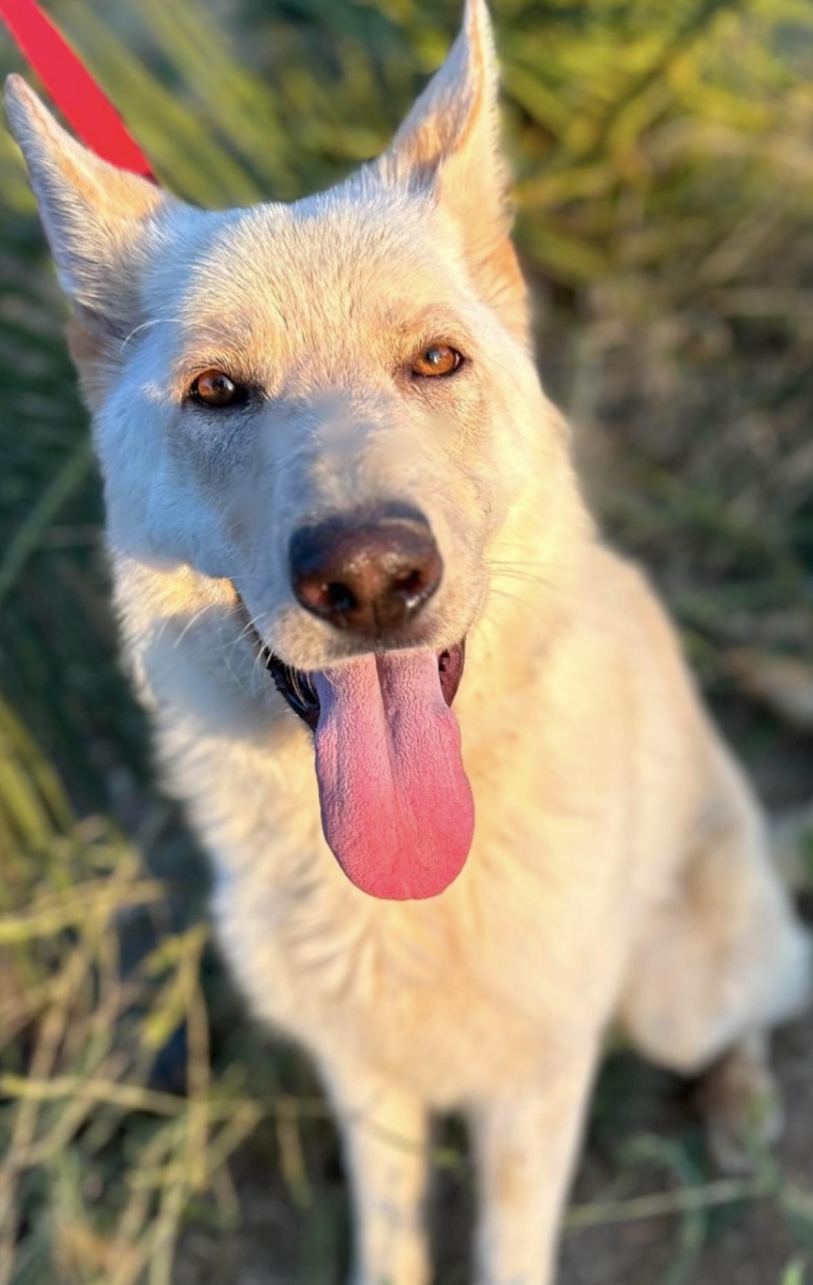 LUNA