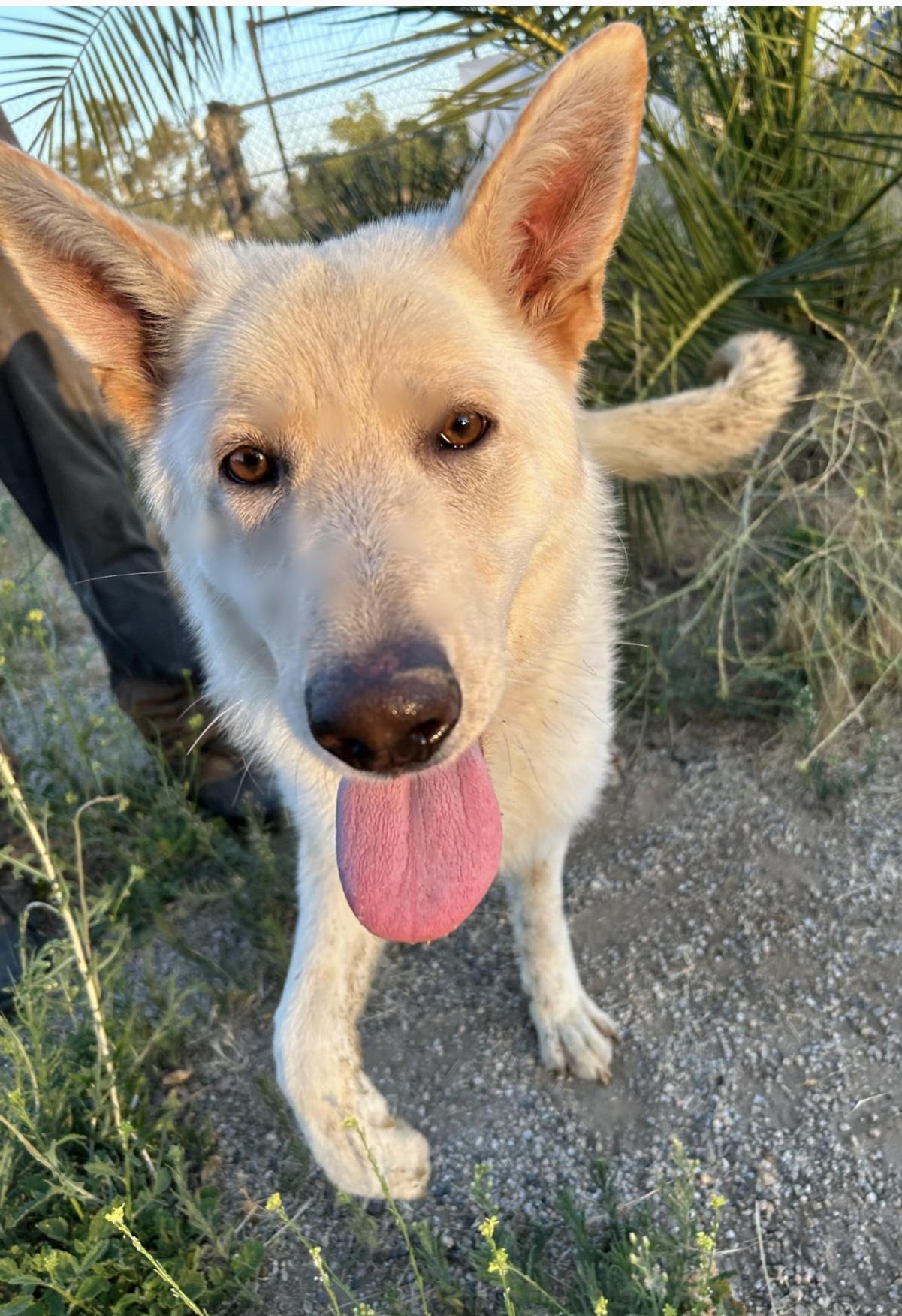 LUNA