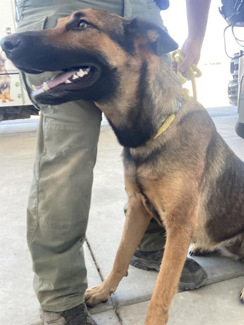 Edna Mode -- URGENT!!! OUT OF TIME!!!