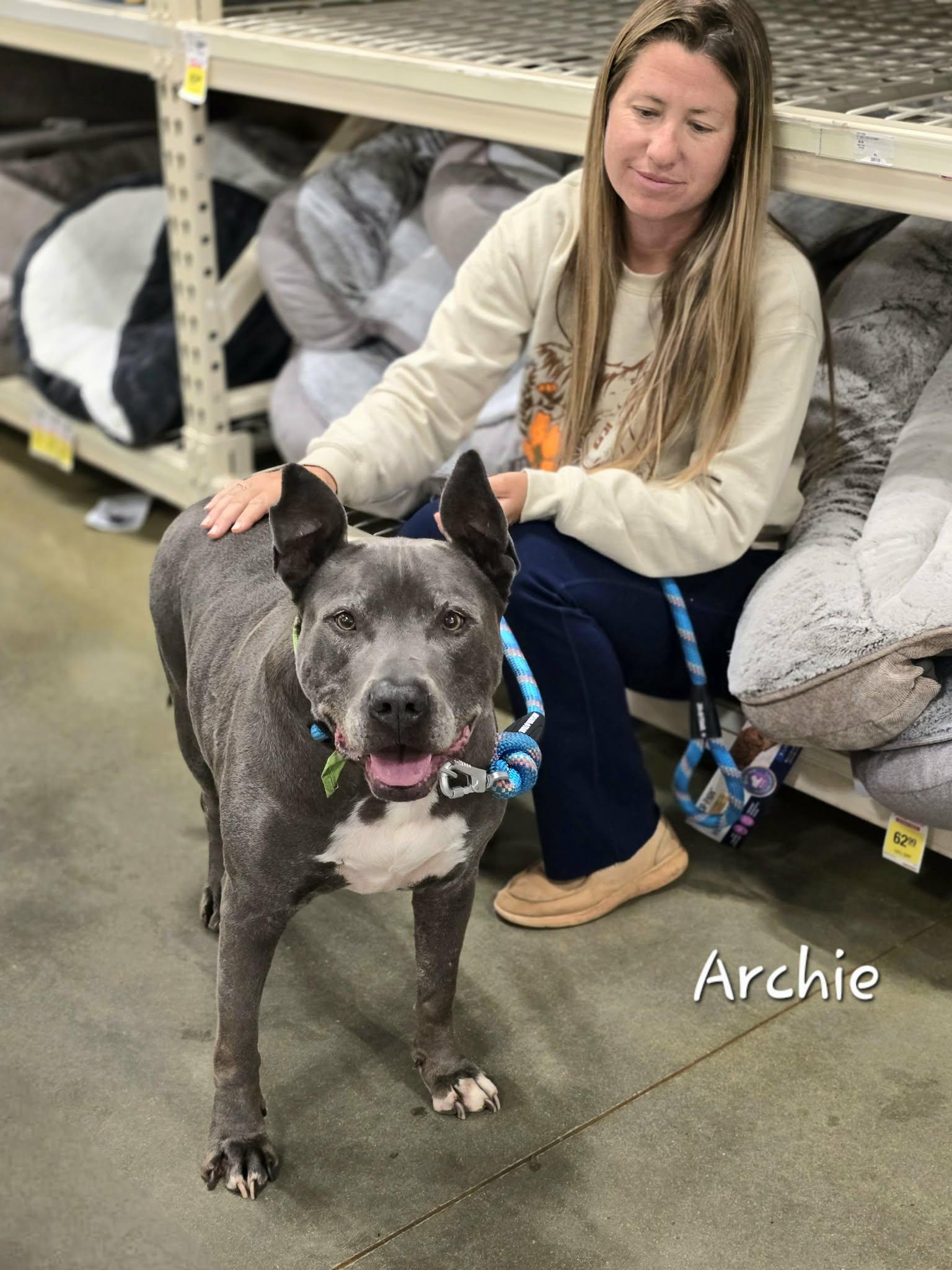 Archie, an adoptable mixed breed in Bishop, GA image 6/6