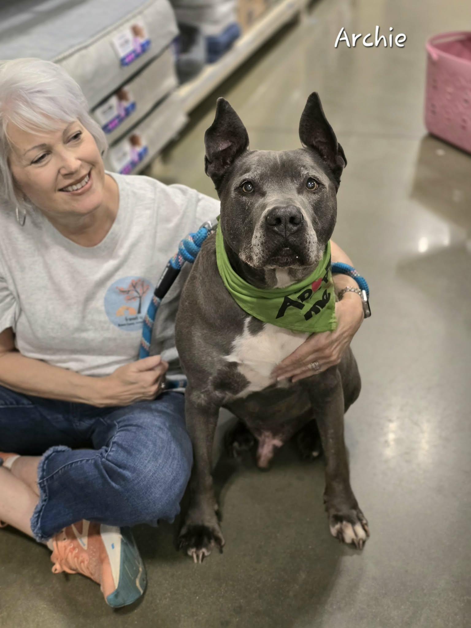 Archie, an adoptable mixed breed in Bishop, GA image 4/6