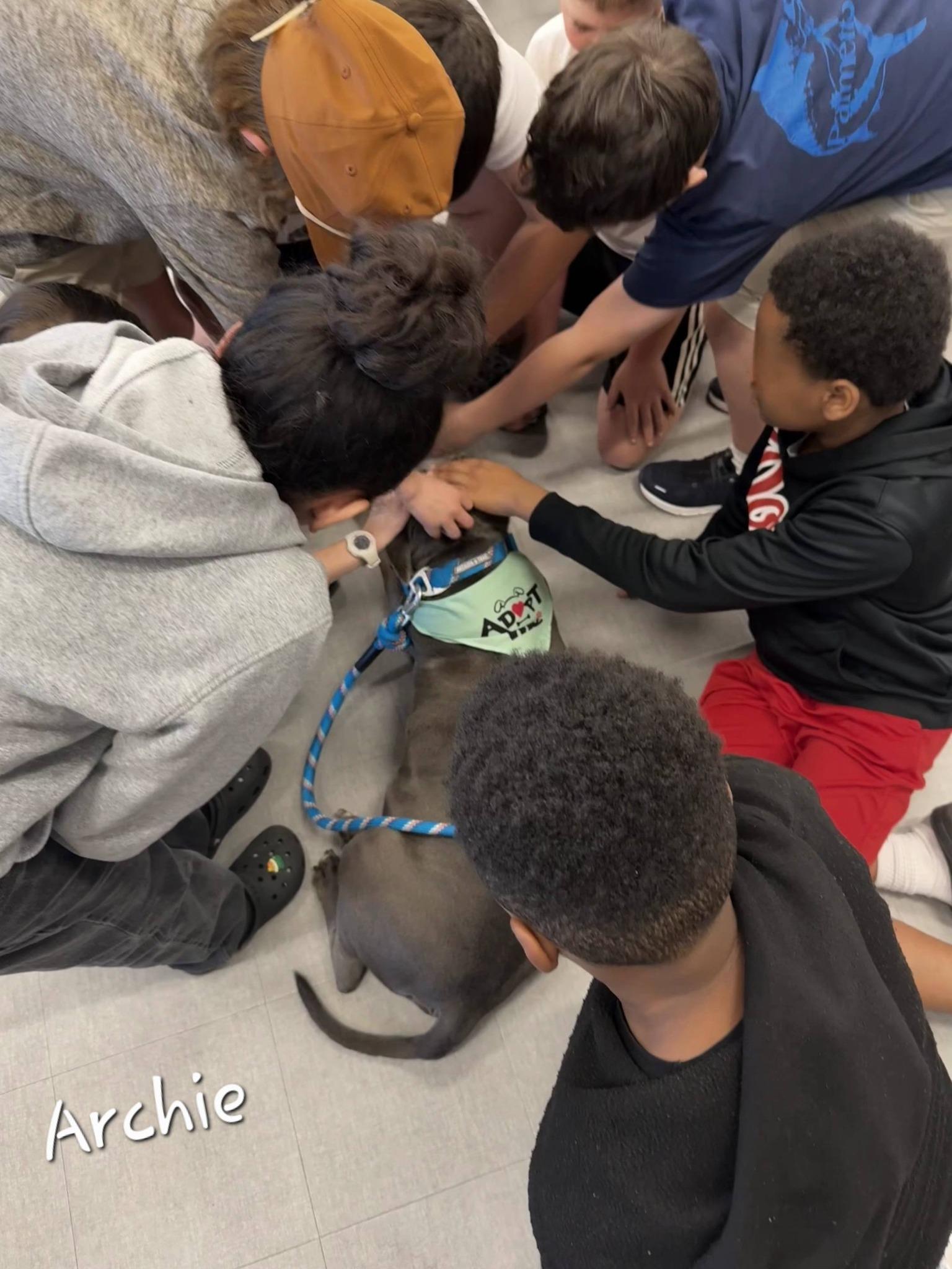 Enlarge Archie, an adoptable mixed breed in Bishop, GA image 3/6