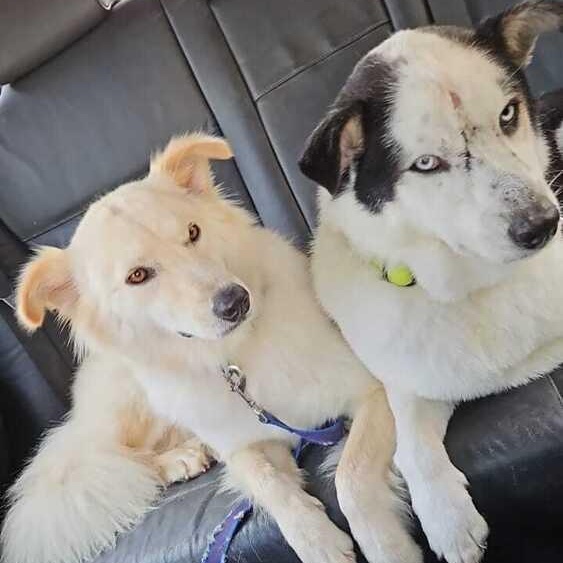 Ms. Fabulous Kendi thumbnail 2