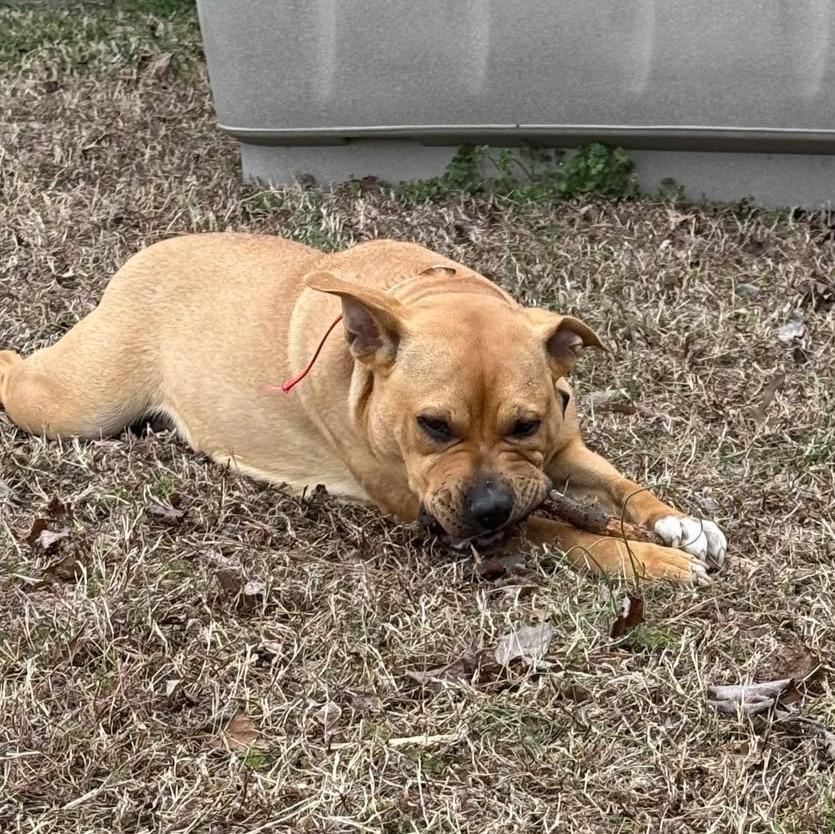 Jynx — thumbnail 4