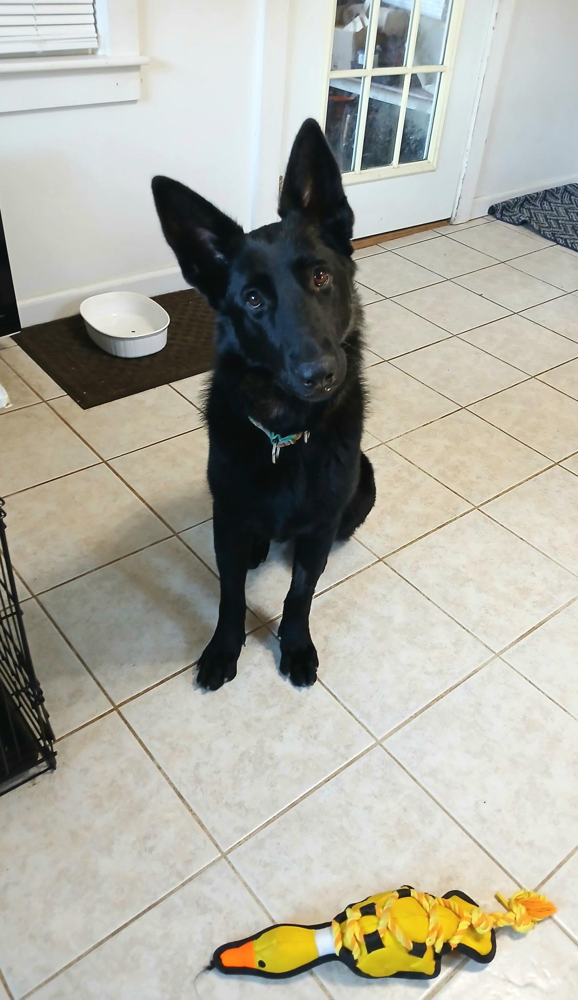 Kara