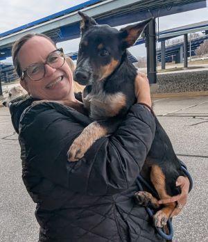 Lollie Adopted, a ADOPTABLE mixed breed in South Portland, ME image 6/6