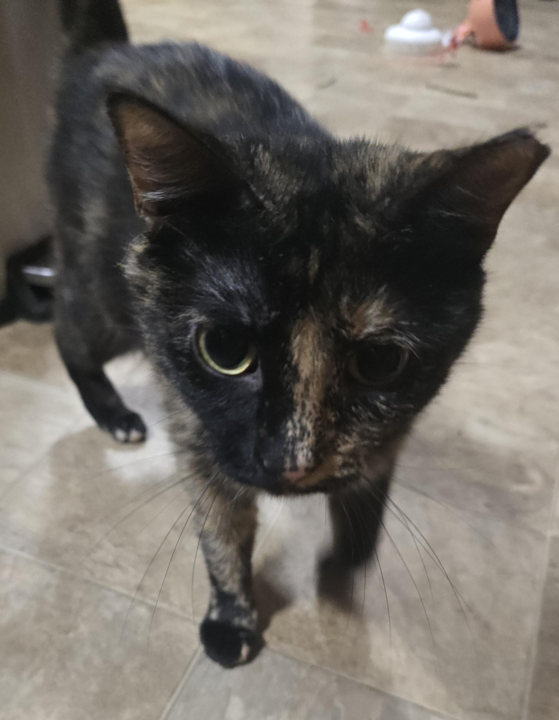 Ella
