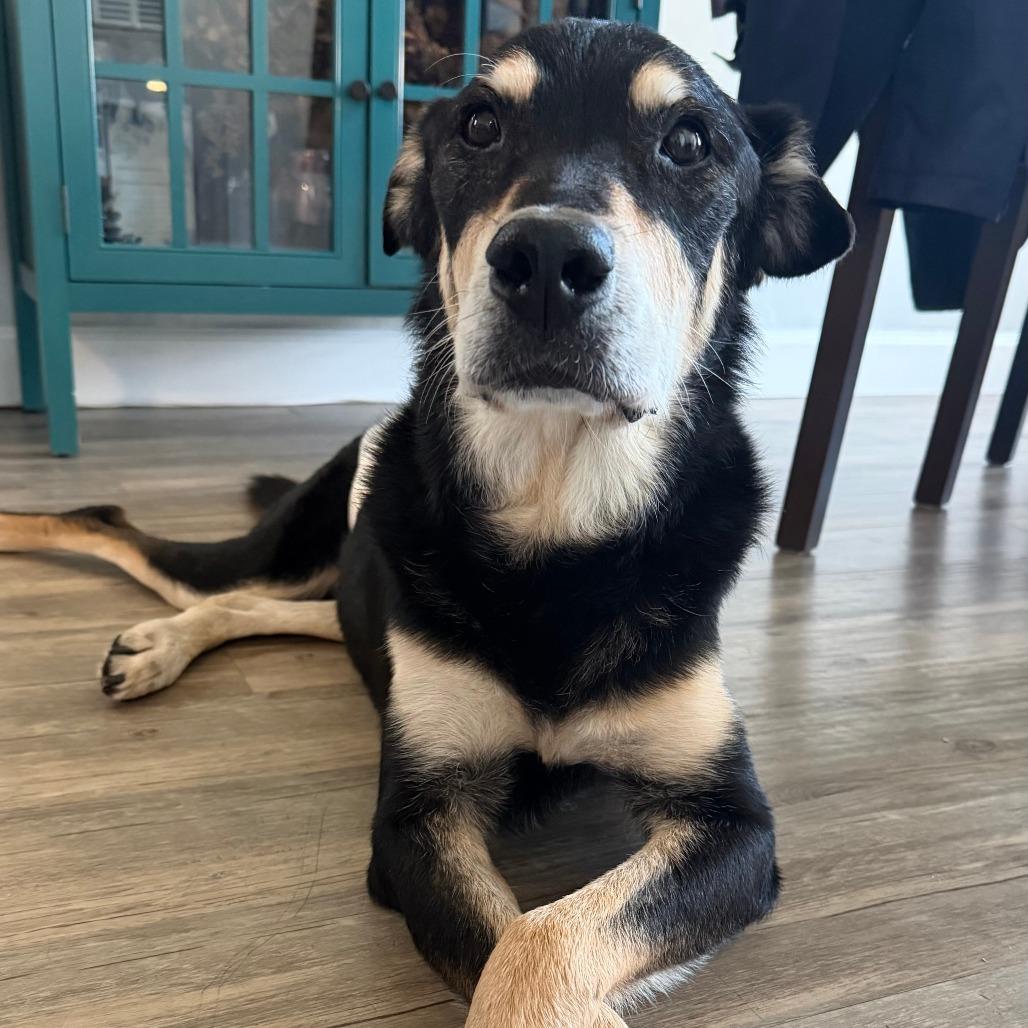 Ebenezer — thumbnail 4