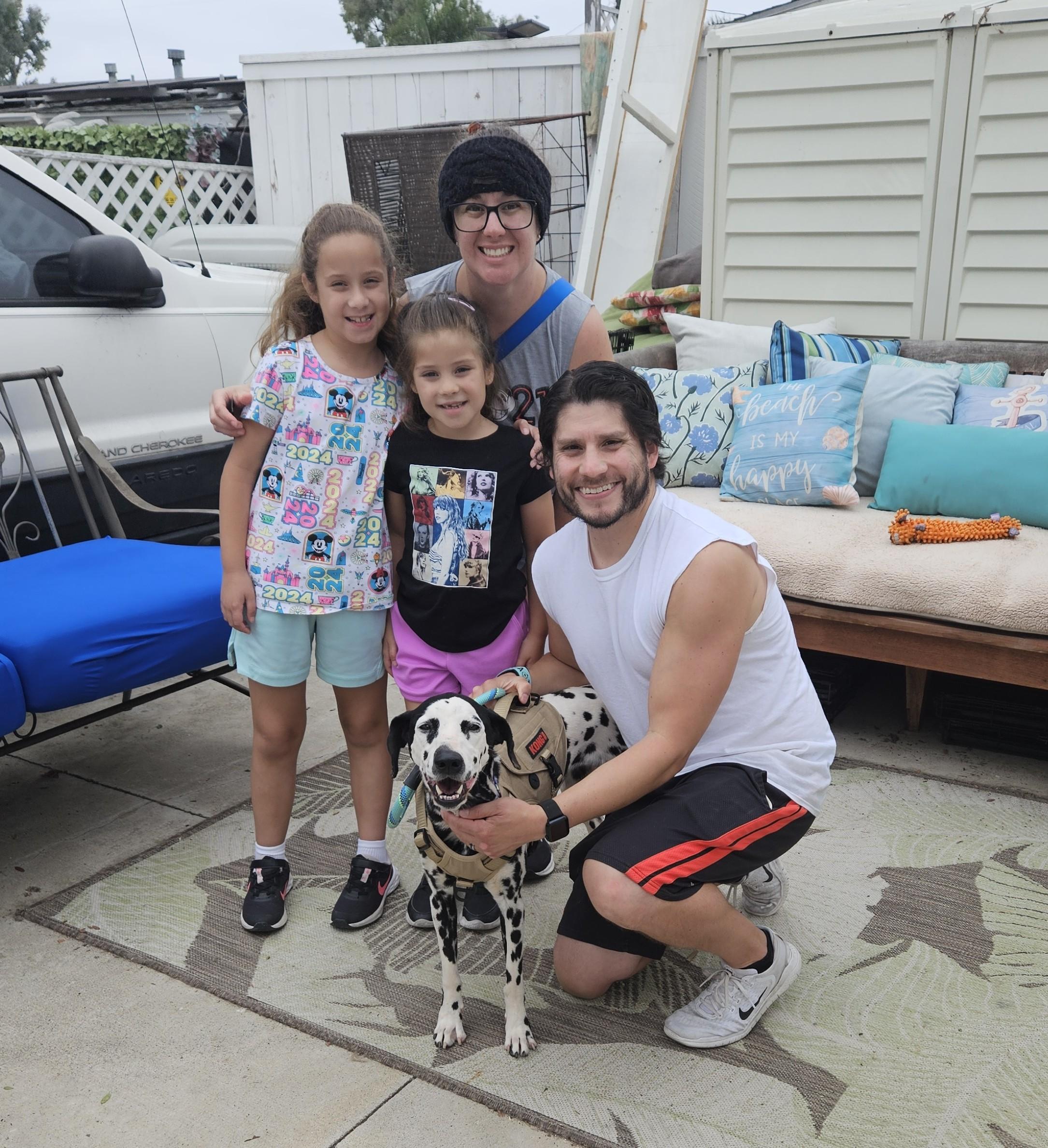 Enlarge Luna ADOPTED, a Adopted Dalmatian in Newport Beach, CA image 1/1