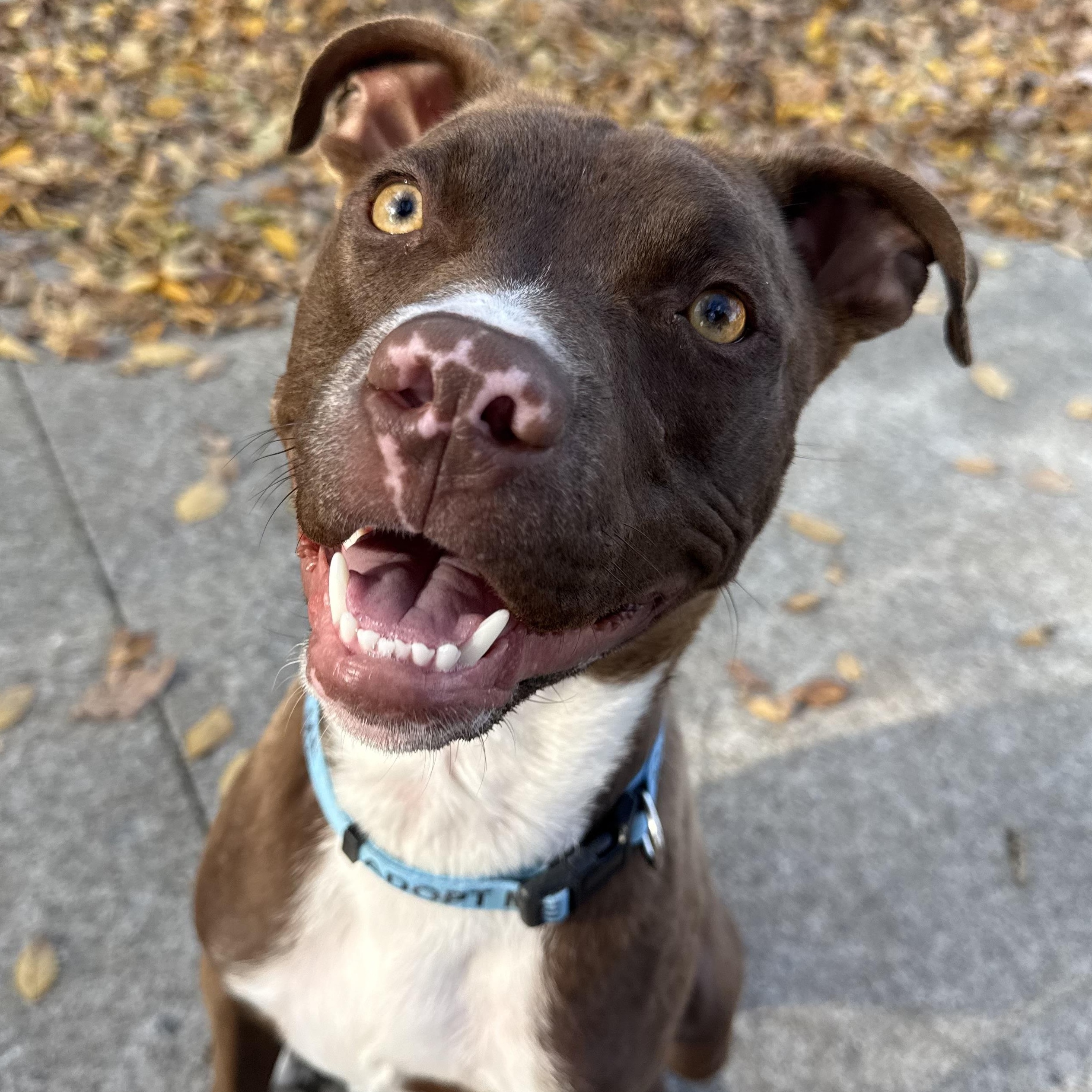 Hermit — thumbnail 5