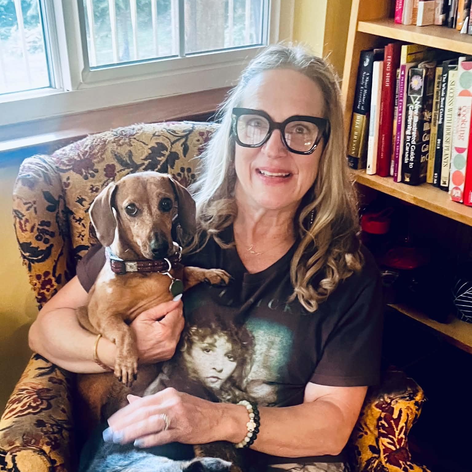 Enlarge MILLICENT, an adopted Dachshund in Abbotsford, BC image 2/5