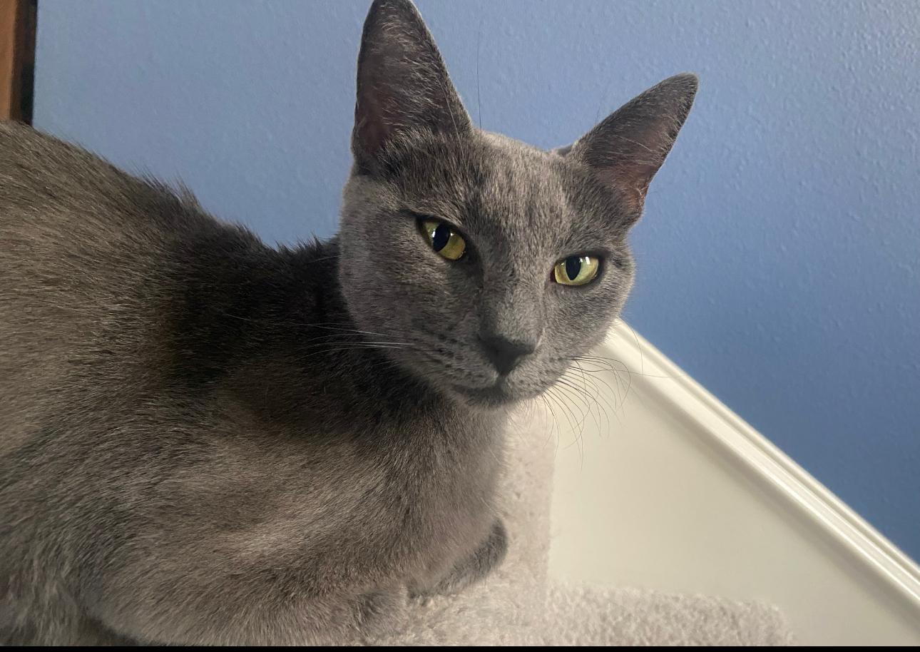 Kiana - sweet and gentle