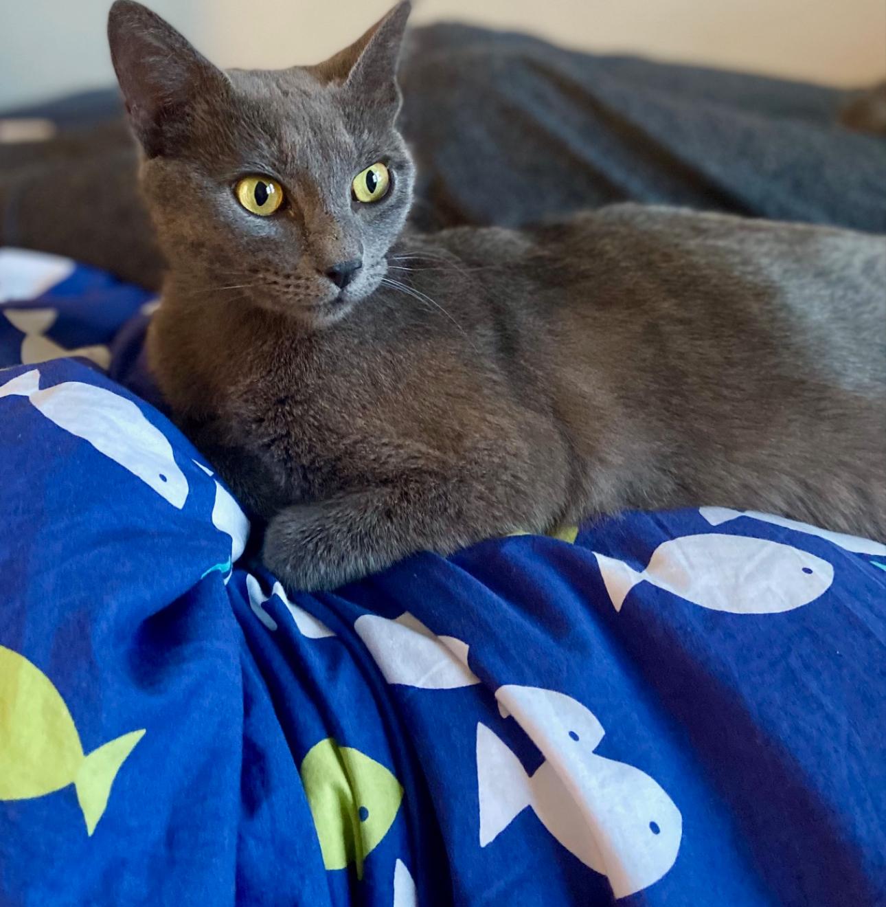 Kiana - sweet and gentle