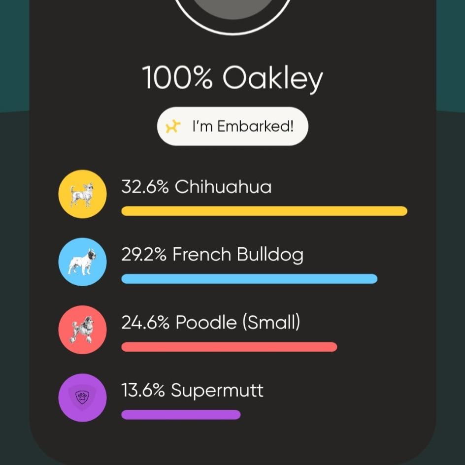 Enlarge Oakley, a Adoptable mixed breed in Calimesa, CA image 5/5