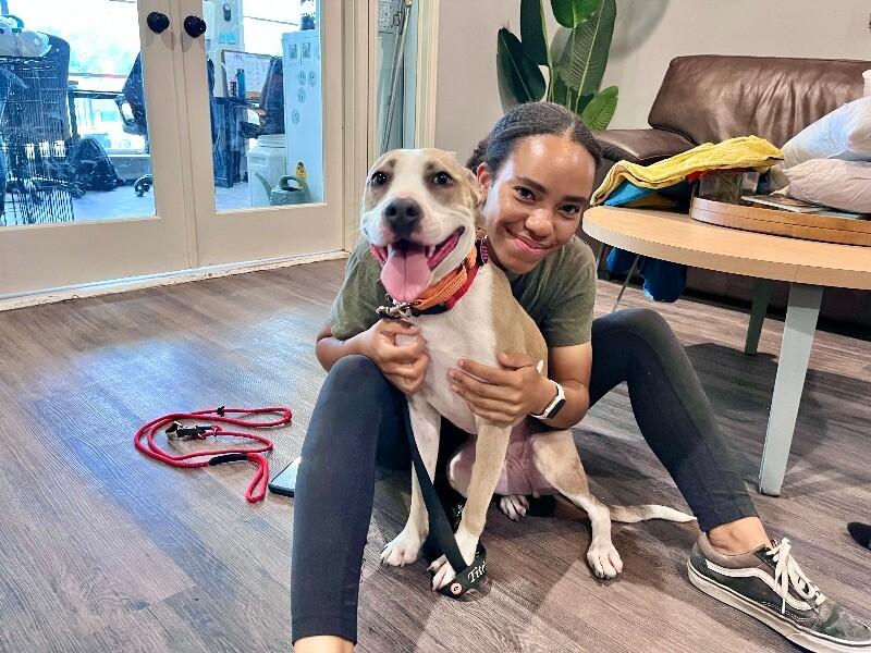 Speckles Pocket Sized Smiling Pittie Girl