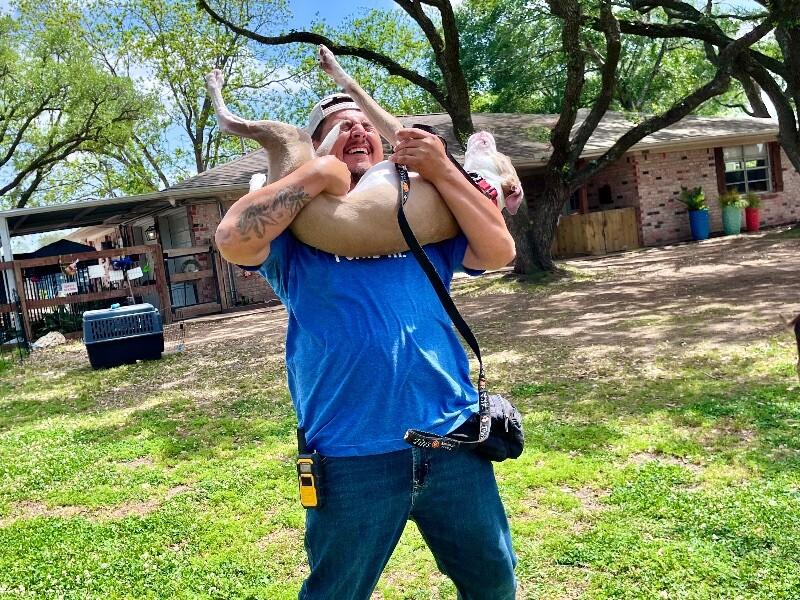 Speckles Pocket Sized Smiling Pittie Girl 3