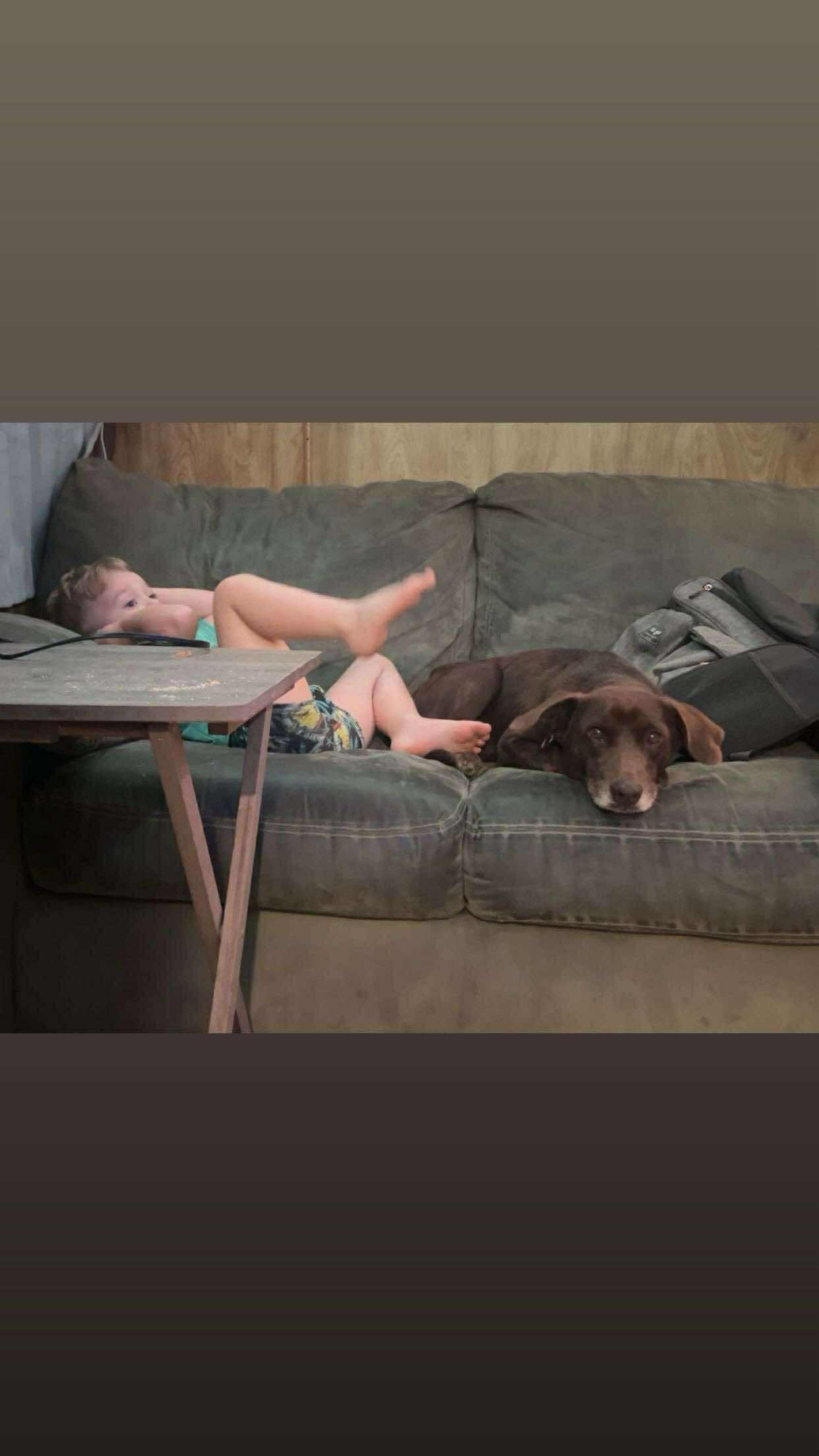 Enlarge Lady, a Adoptable mixed breed in Ponchatoula, LA image 4/4