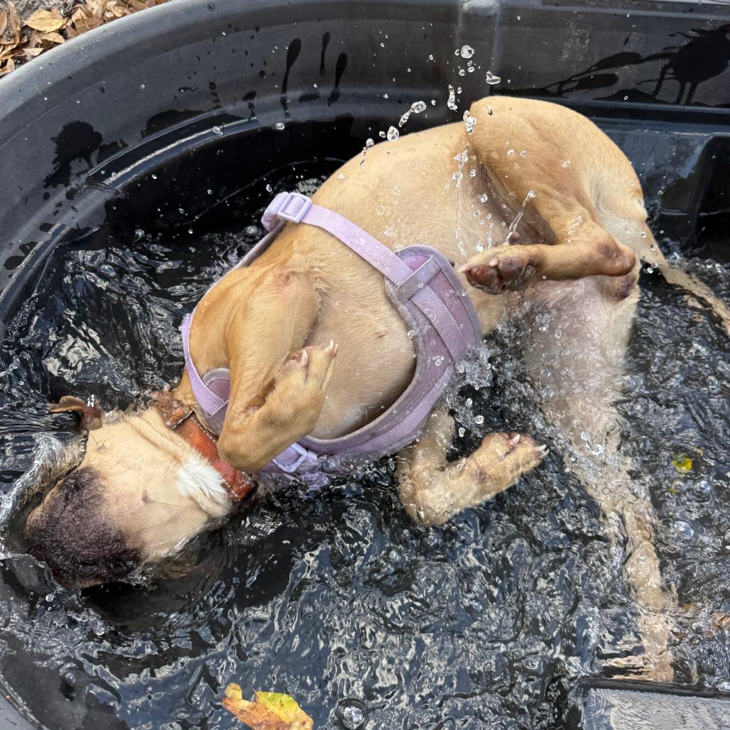 Riley — thumbnail 3