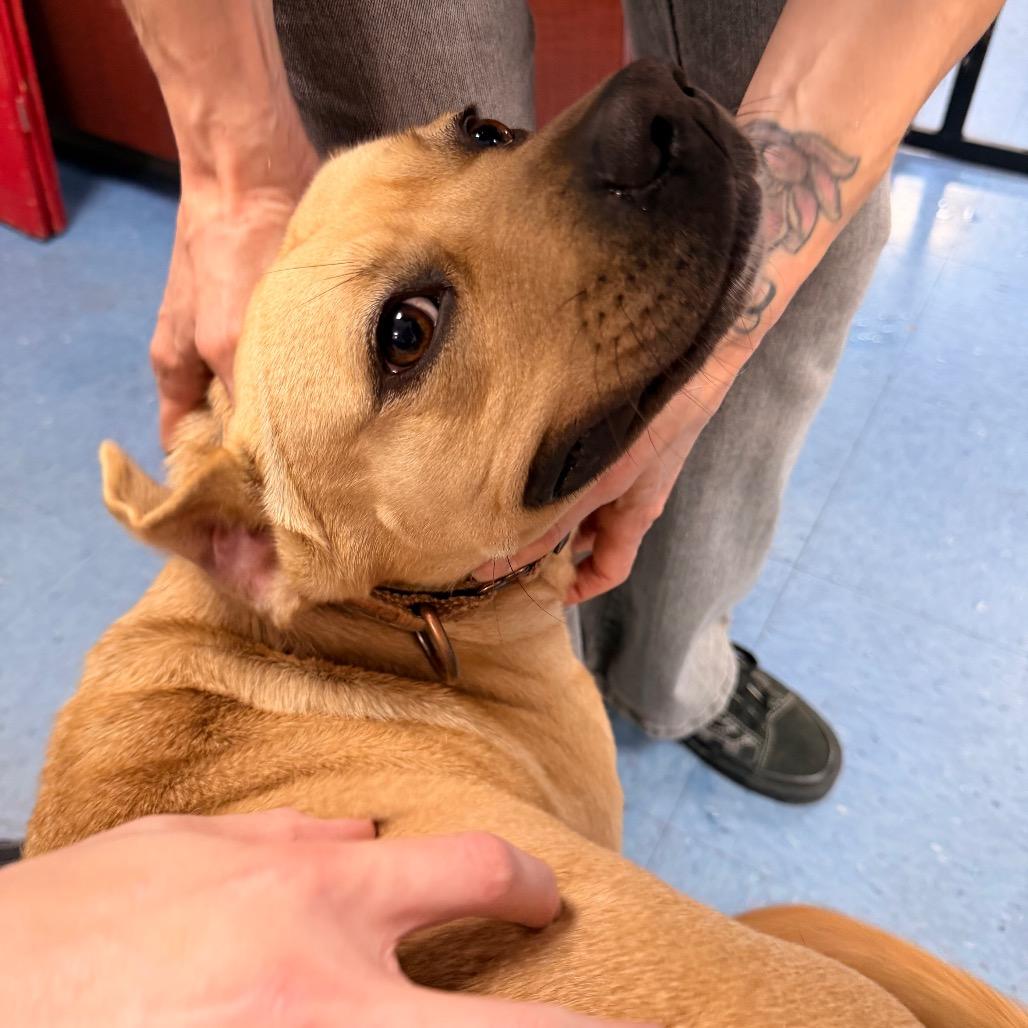 Riley — thumbnail 4