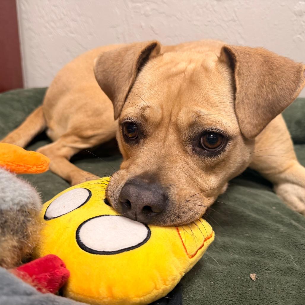 Riley — thumbnail 5