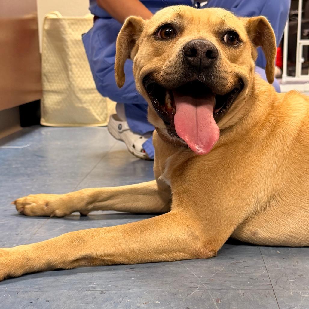 Riley — thumbnail 6