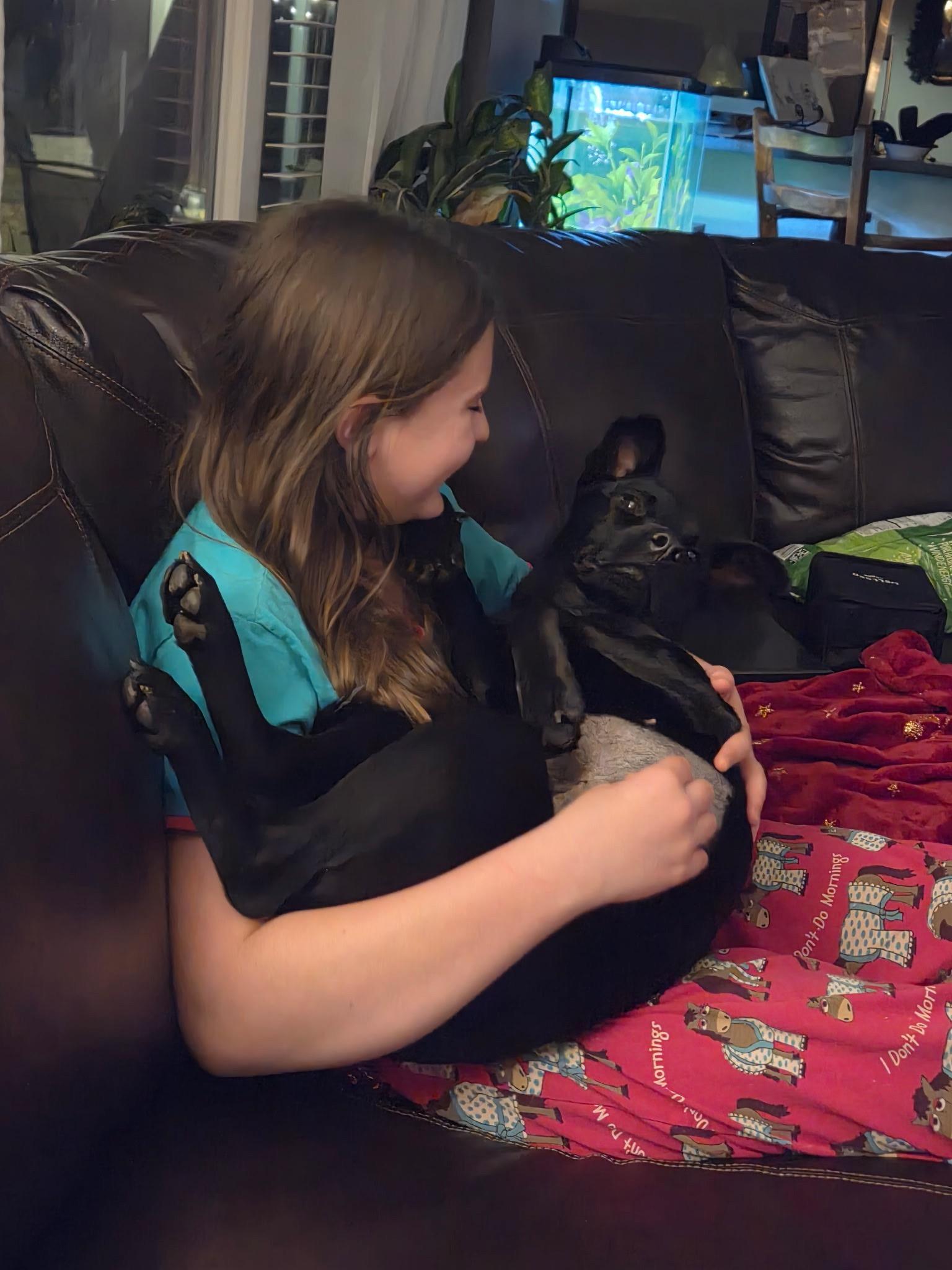 Enlarge Joy, a ADOPTABLE mixed breed in Durango, CO image 4/6