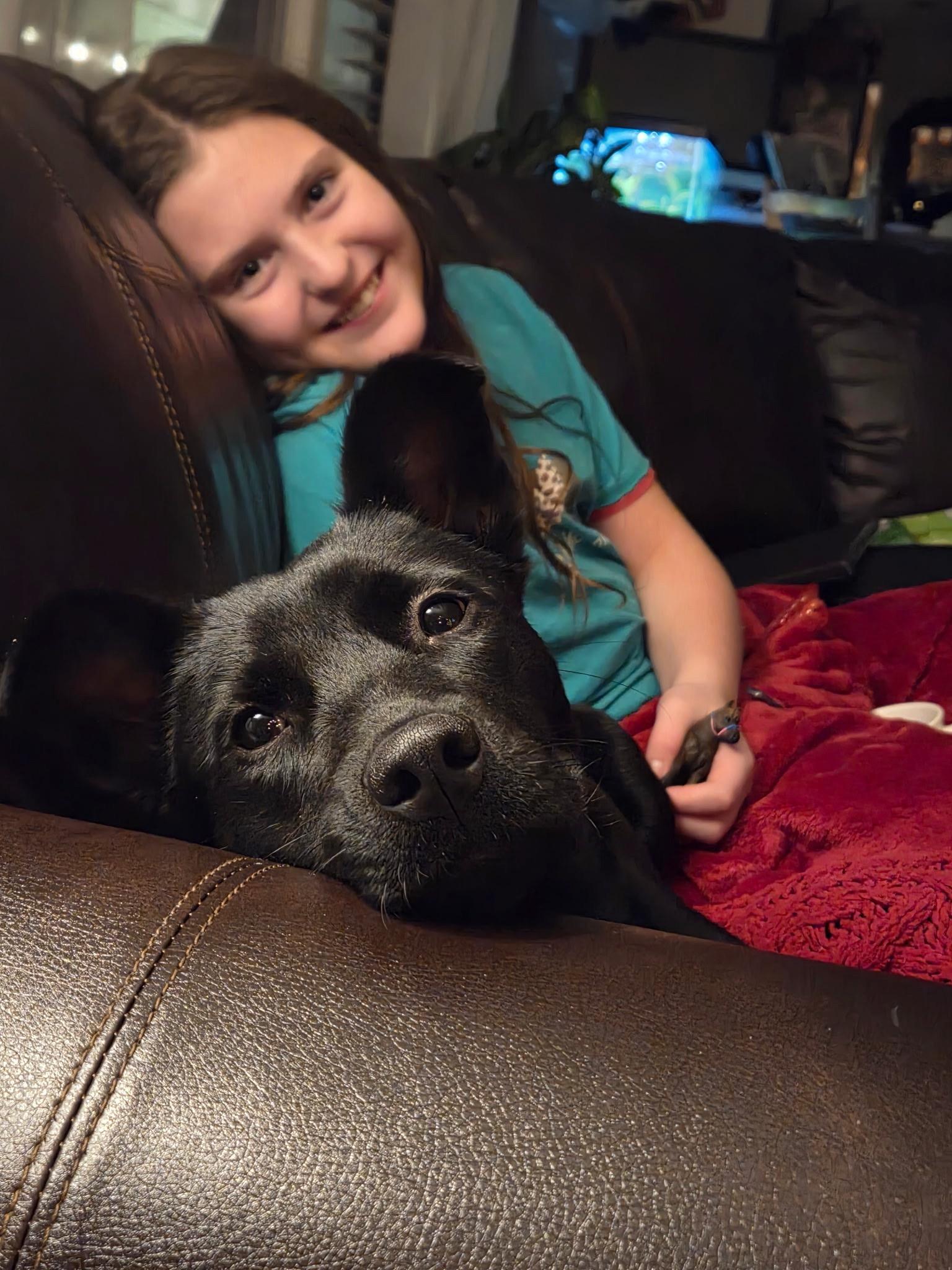 Enlarge Joy, a ADOPTABLE mixed breed in Durango, CO image 3/6