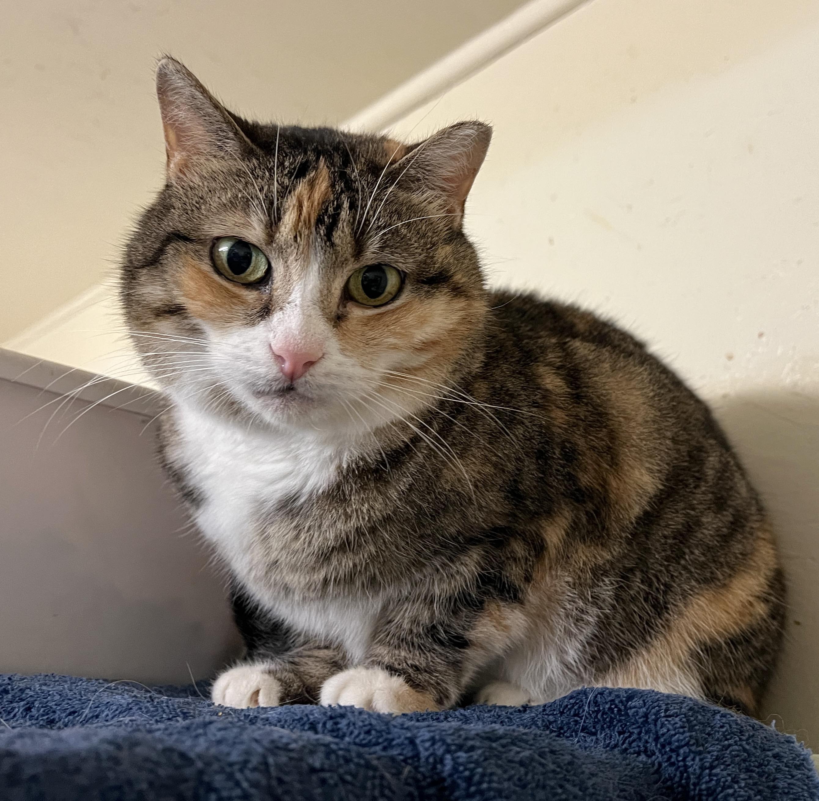 Angie — thumbnail 2