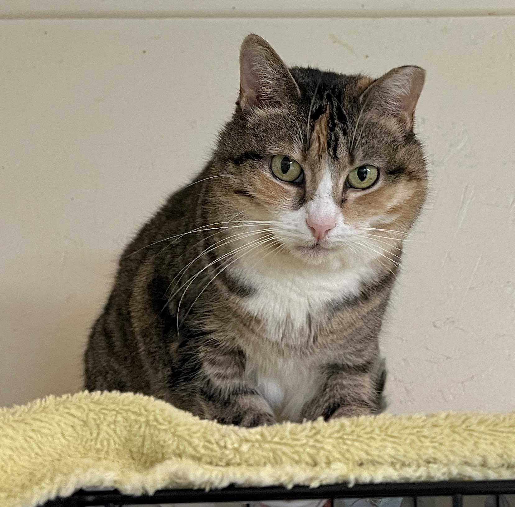 Angie — thumbnail 3