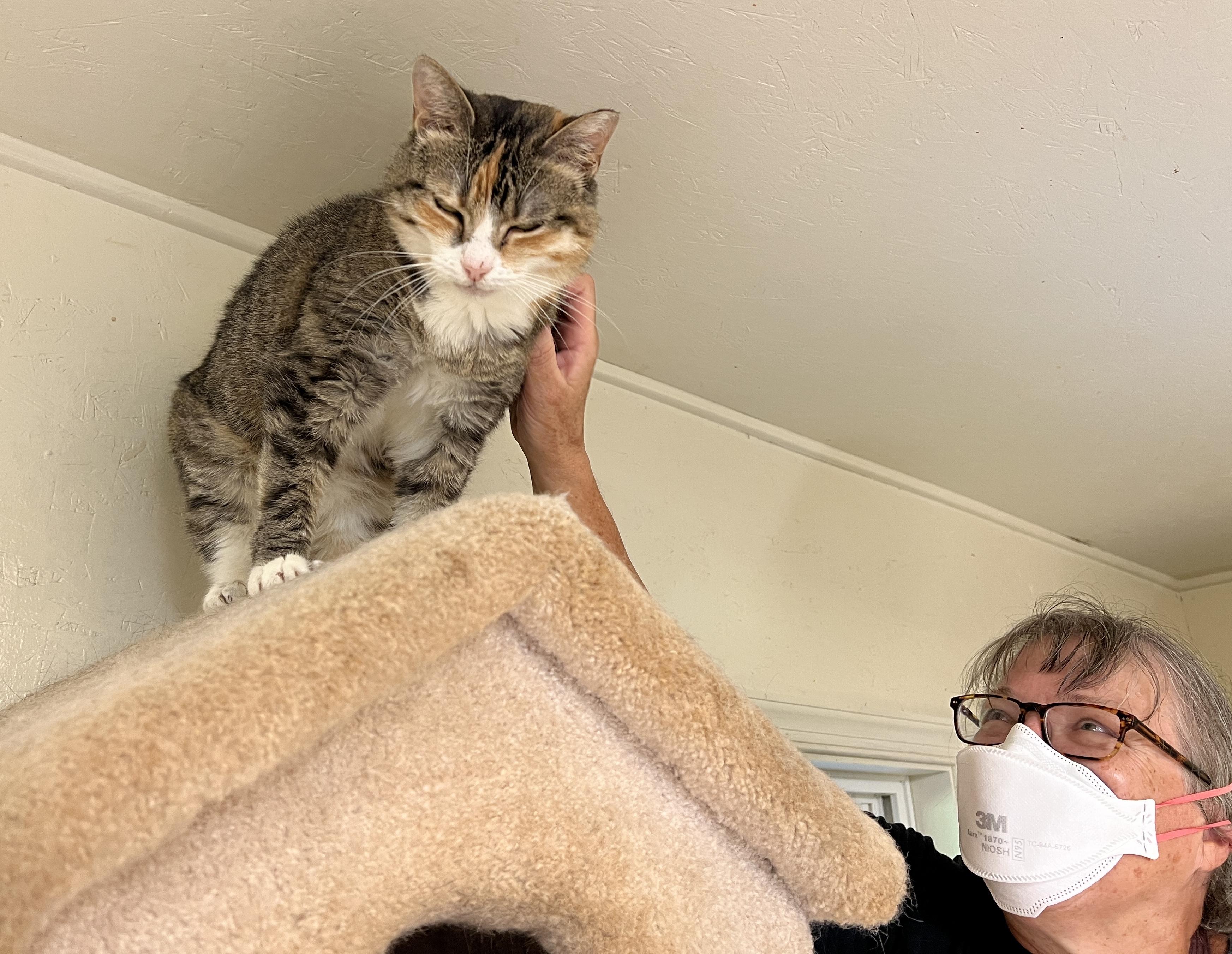 Angie — thumbnail 4