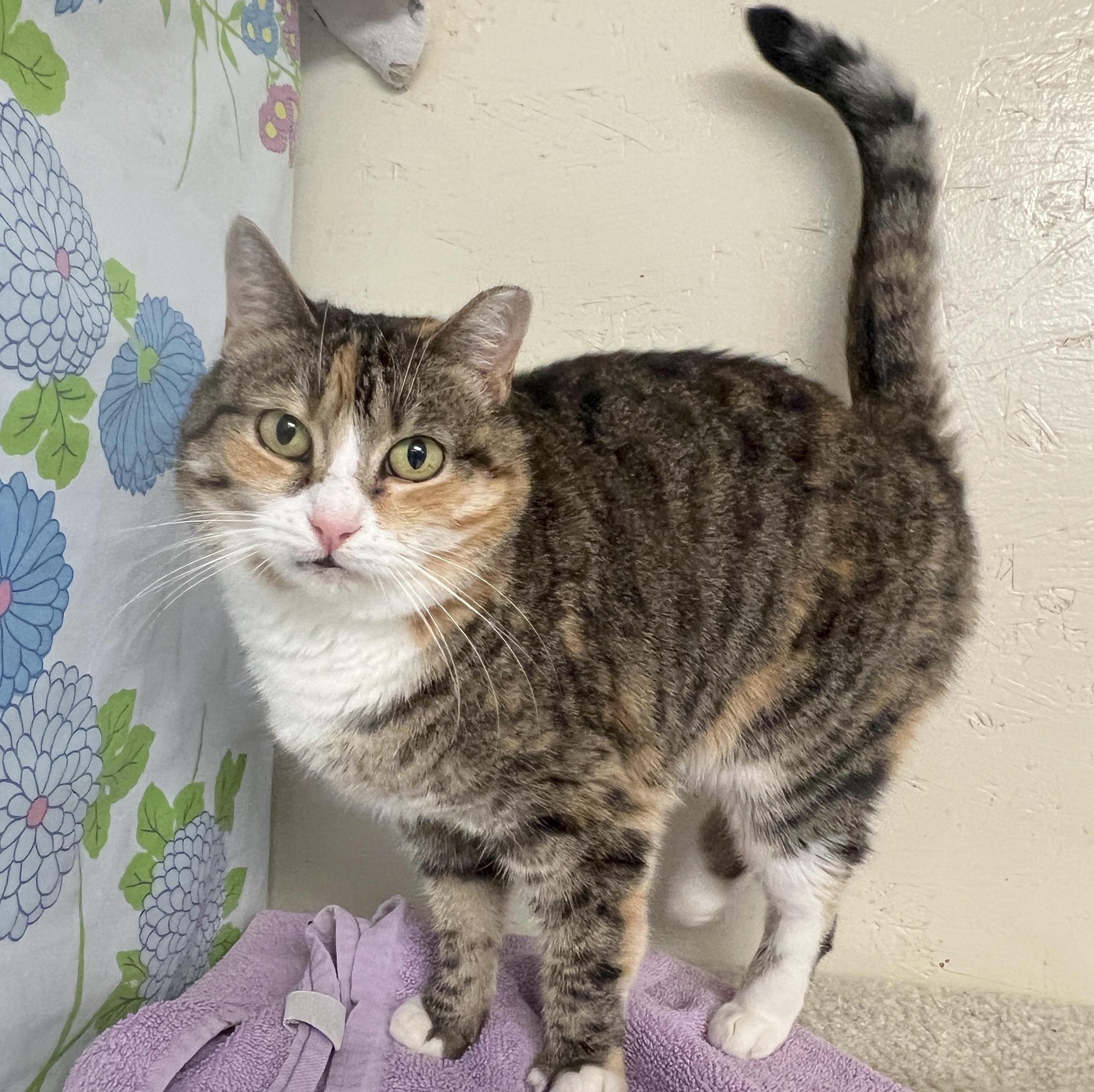 Angie — thumbnail 5