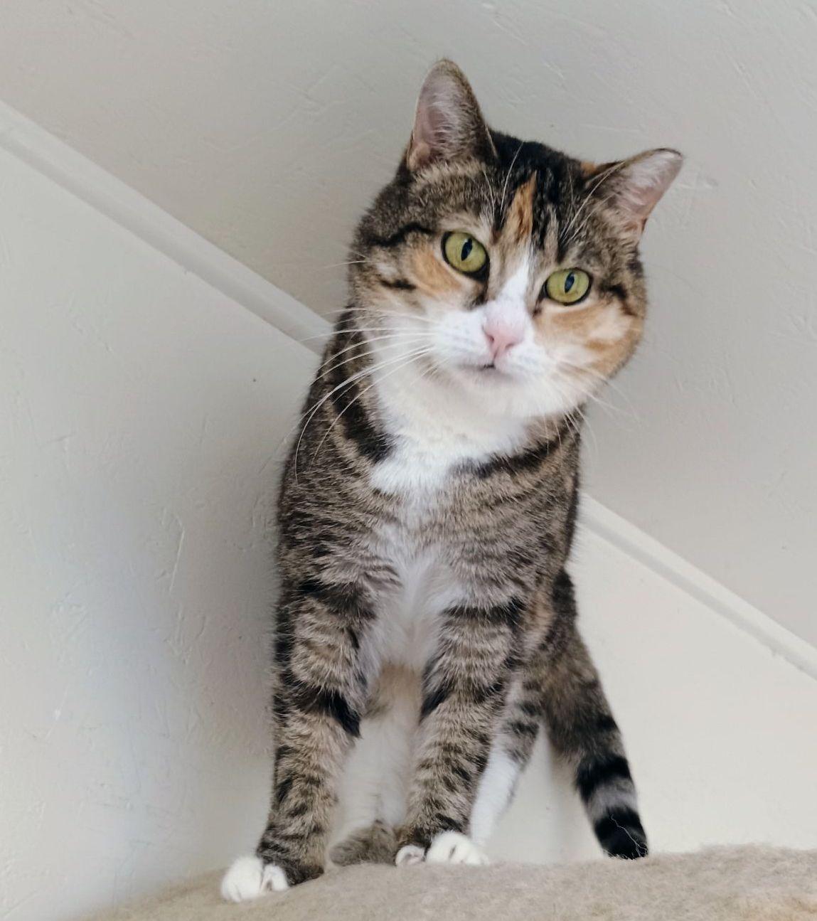 Angie — thumbnail 6