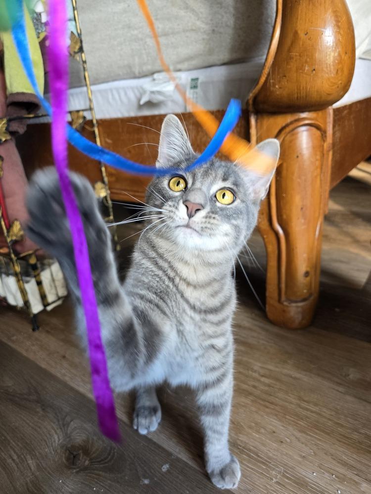 Cobalt — thumbnail 2