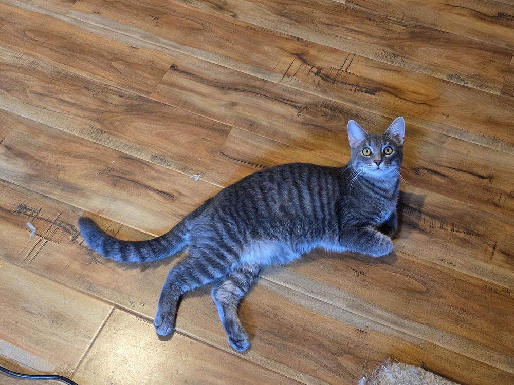 Cobalt — thumbnail 3