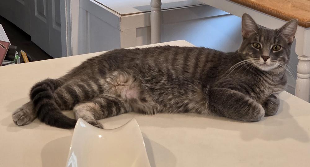 Cobalt — thumbnail 5