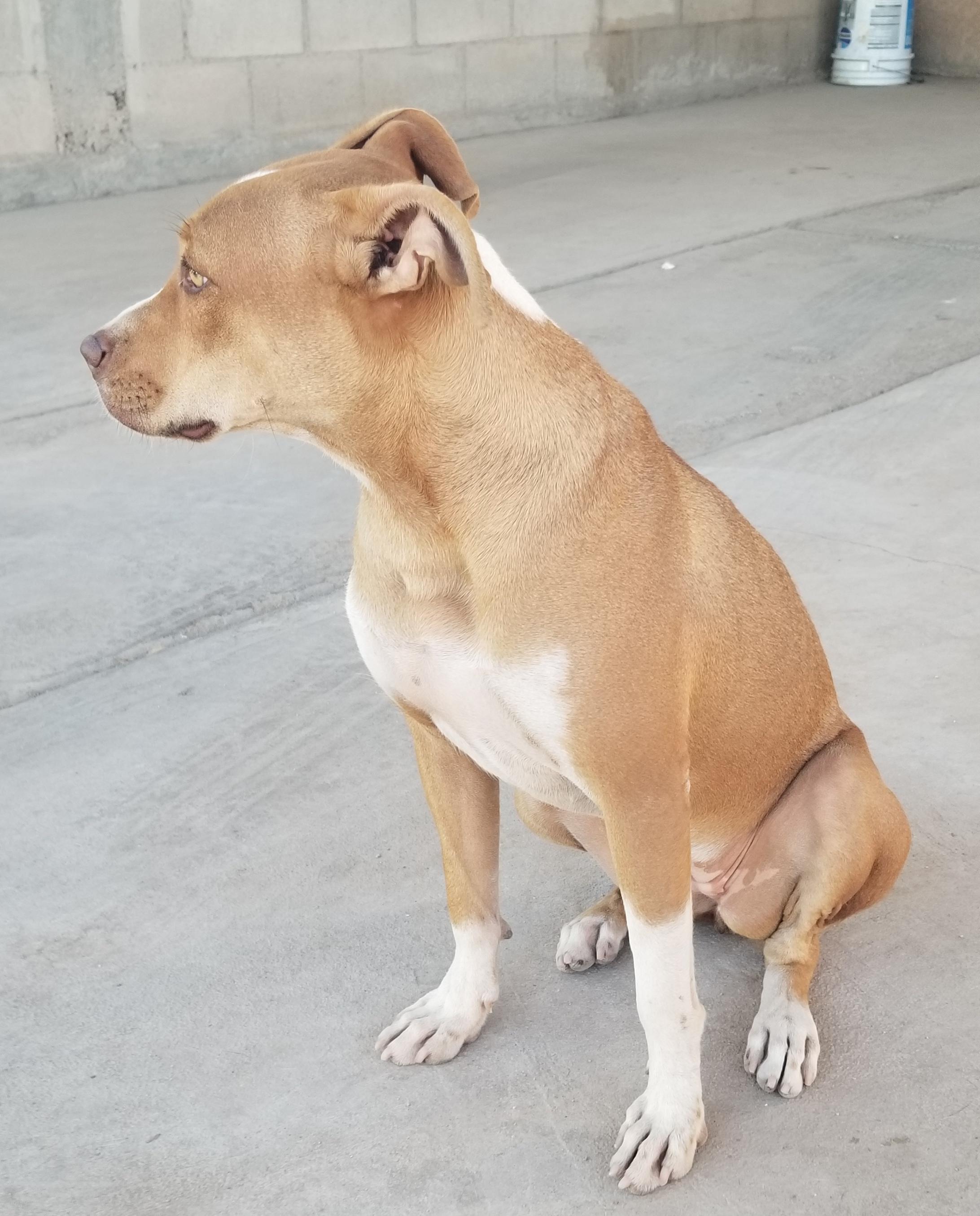 Meiling — thumbnail 3